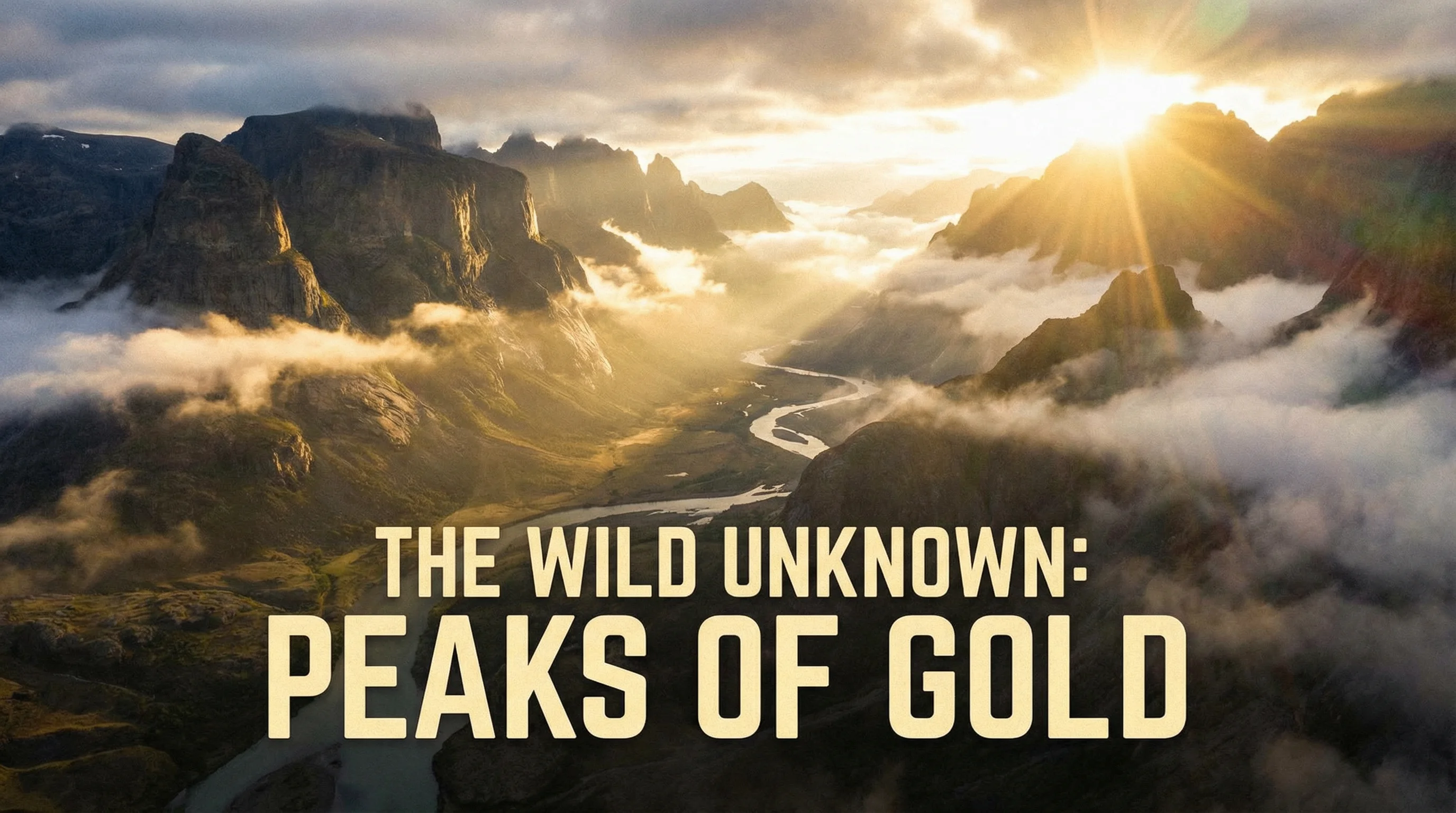 四虎探花精选内容展示